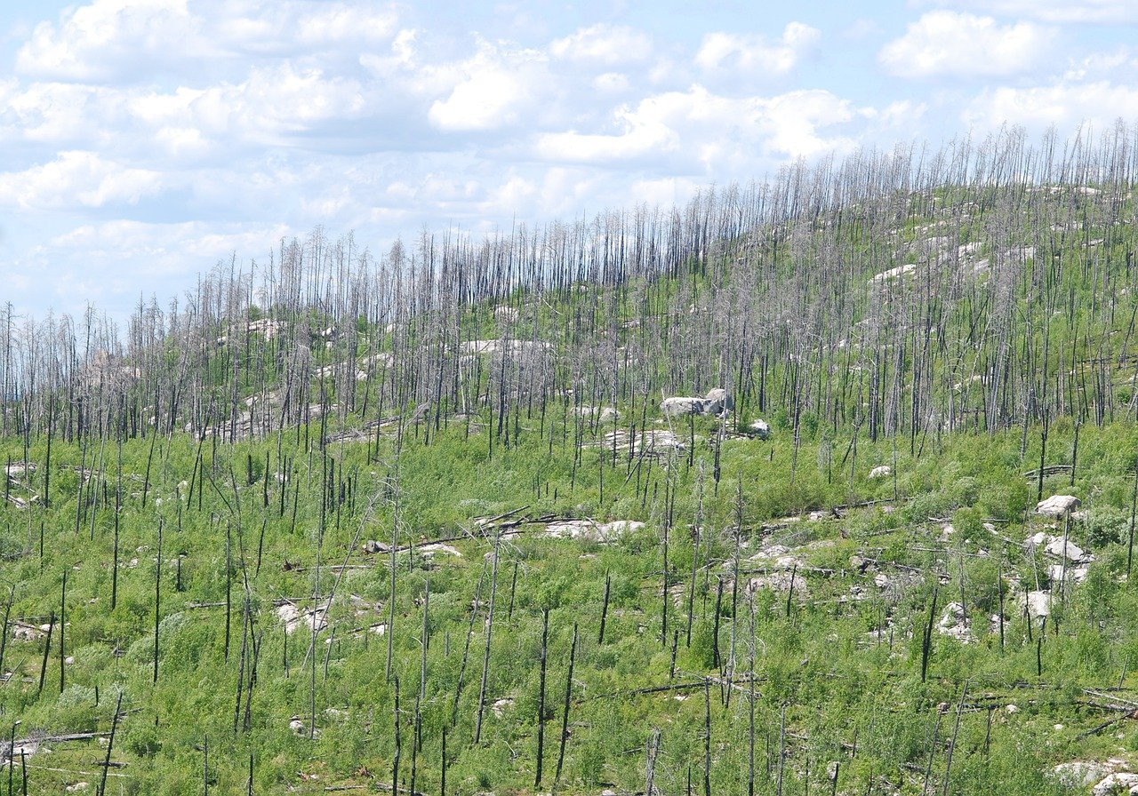 Sicuraccess E La Consulenza Inclusa Come Aderire Correttamente Al D Lgs 159 2025 Nel Settore Edile