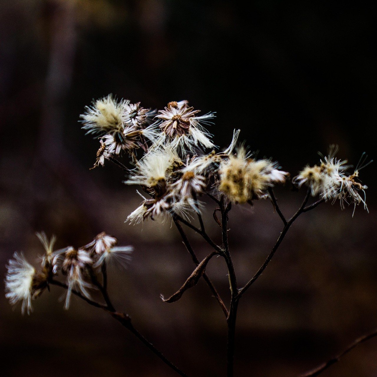 Affrontare il complesso mondo della conformità normativa può sembrare scoraggiante,